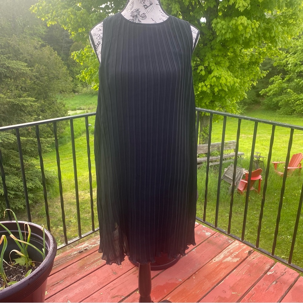 Willow & Clay Size Large Black Pleated Lined Sheer Sleeveless Floaty Dress